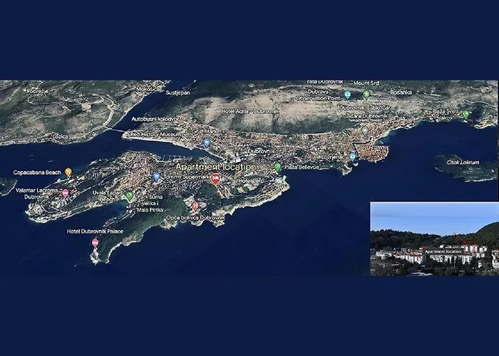 Pine Tree * Dubrovnik