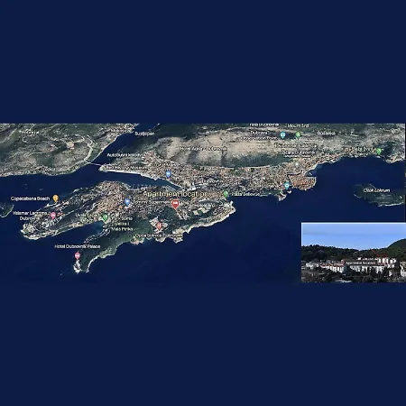 Pine Tree * Dubrovnik