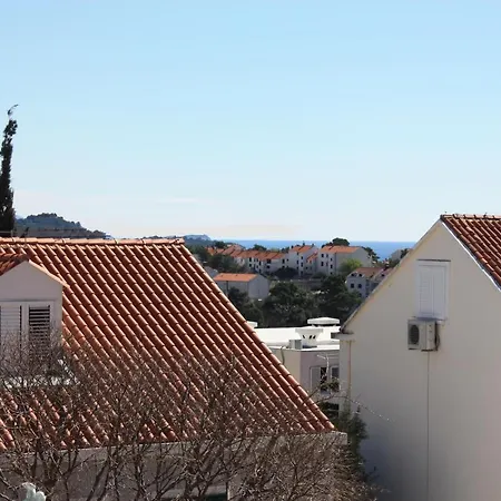 Apartman Pine Tree *